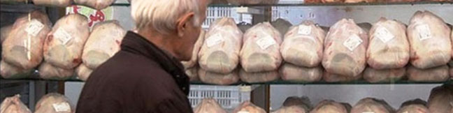 گران‌فروشی مرغ ربطی به وزارت جهاد کشاورزی ندارد/ کمبودی در تولید مرغ نداریم